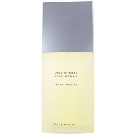 Issey Miyake L'eau D'issey 100ML